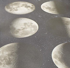 Линолеум Forbo SureStep Цифровая печать 17982 moon фото 1 | FLOORDEALER